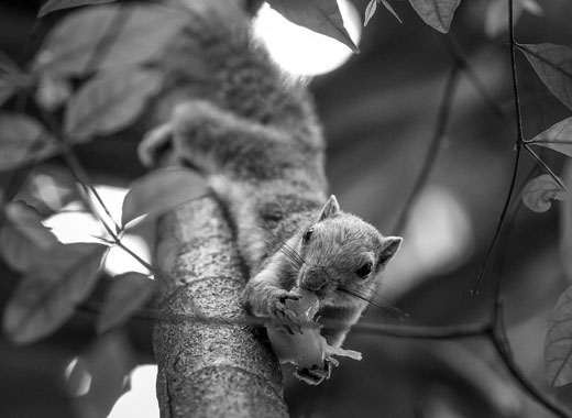 小黑ddos压力测试平台